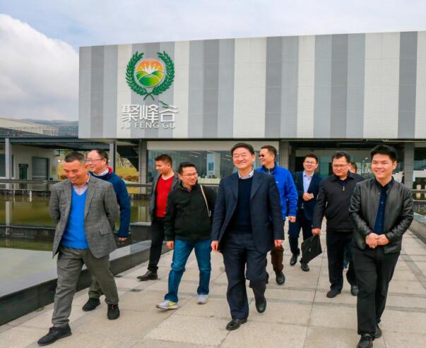 集团党委书记、董事长任丁率队调研聚峰谷