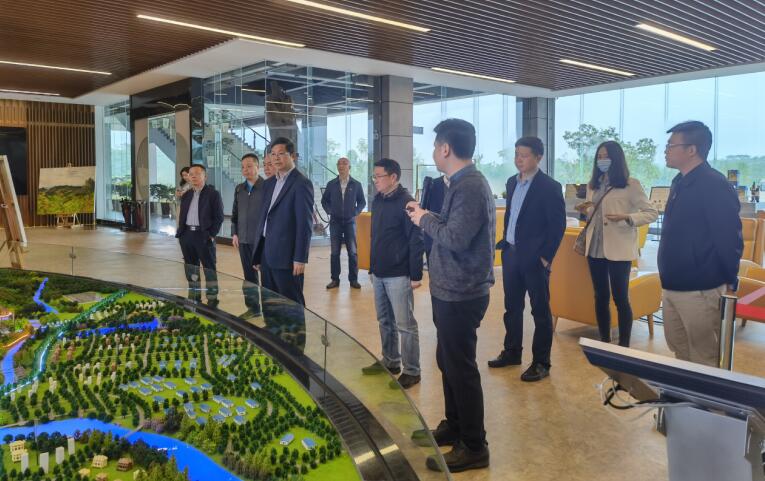 广西旅发集团党委书记、董事长容贤标考察集团文旅项目