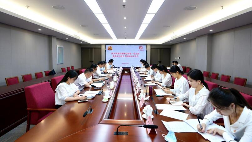 尊龙凯时集团党委书记、董事长任丁参加总部第一党支部党史学习教育专题组织生活会