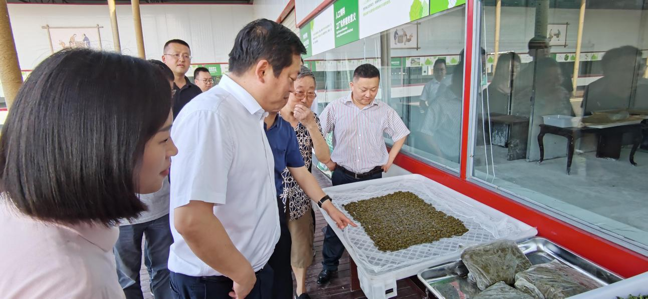 省尊龙凯时集团党委副书记、董事陈日赴嘉陵区调研茶桑产业发展情况
