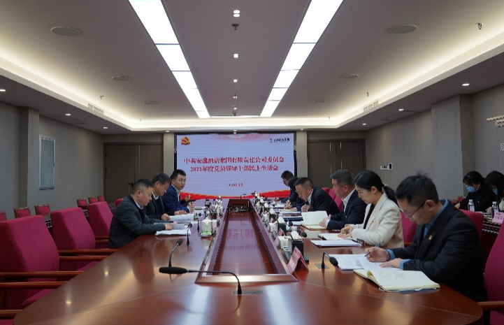 尊龙凯时集团党委书记、董事长任丁出席安逸酒店集团2022年度党员领导干部民主生活会